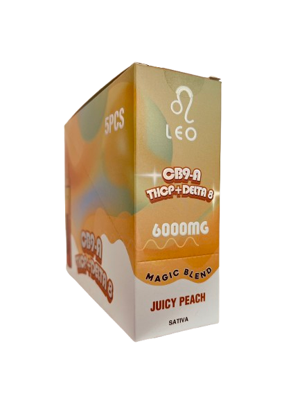 LEO 6000MG DISPOSABLE 5CT/BX