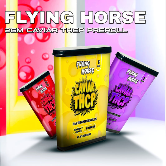 FLYING HORSE 2GM CAVIAR THCP PREROLL 10CT/BX